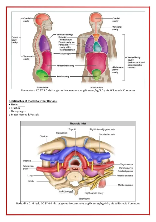 samples-3-2-min-r5ii99z3hq5gp16uc6glx3ht8hj39duf9uv678ma4w (1)